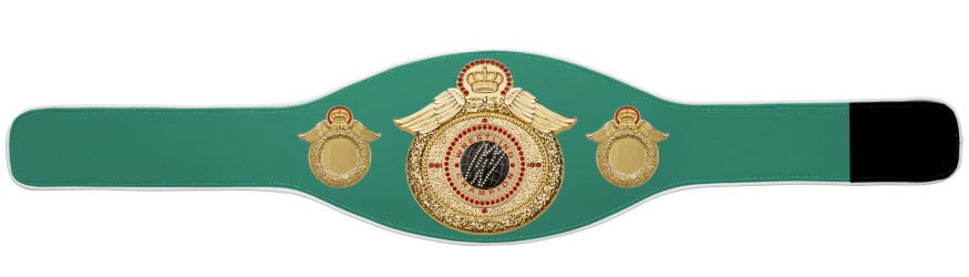 WRESTLING CHAMPIONSHIP BELT-PROWING/G/WRESTGEMG-6+ COLOURS